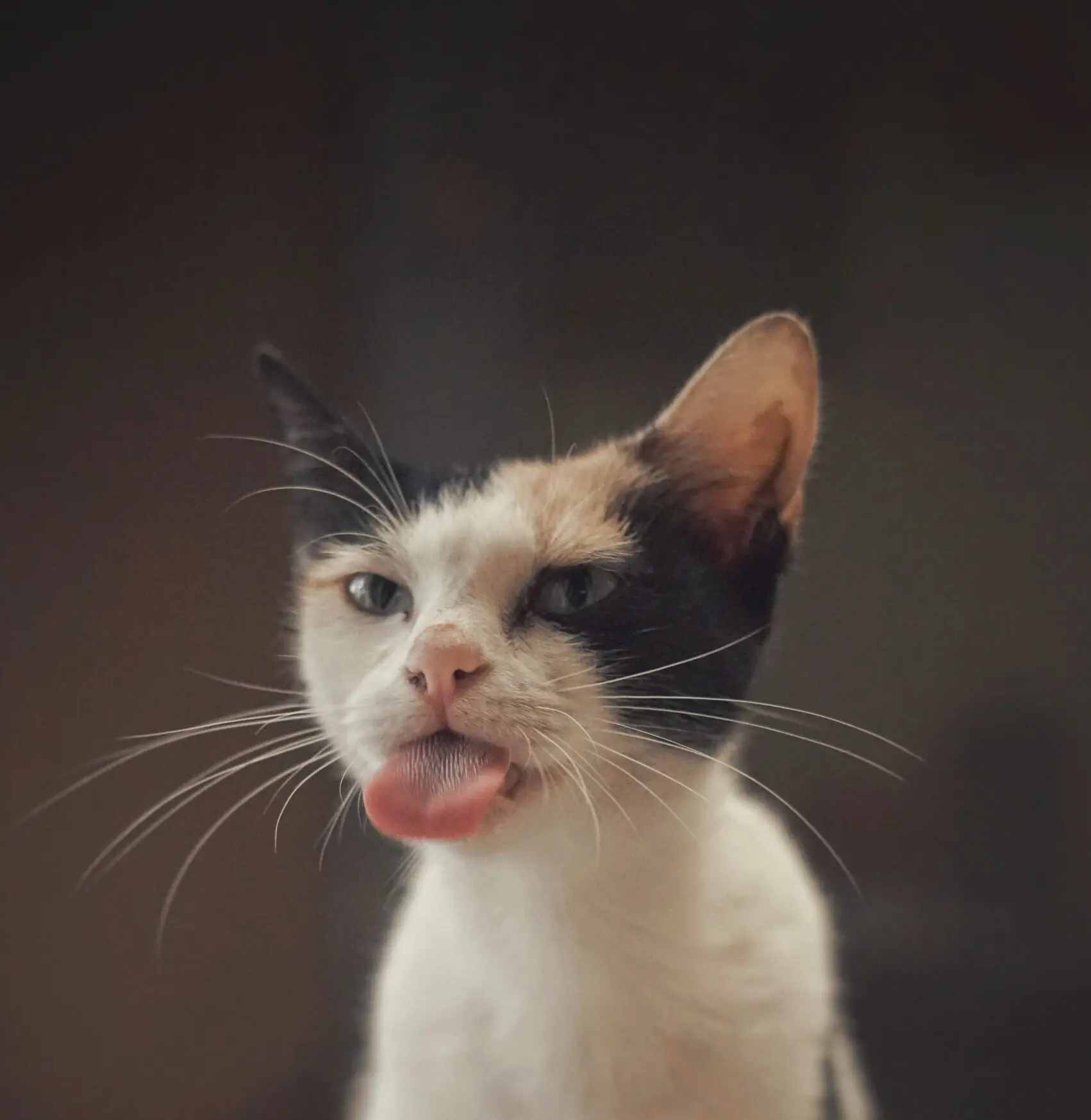 don-hassan-yjZBSEenspw-unsplash