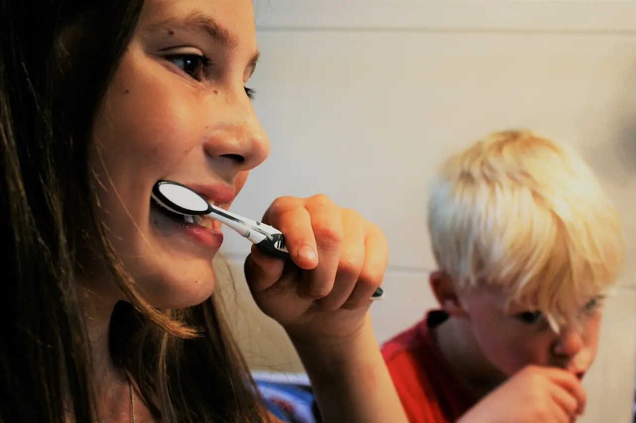 brush-teeth-2103219_1280
