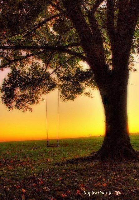 12003391_10206121786938333_5121293613566463521_n