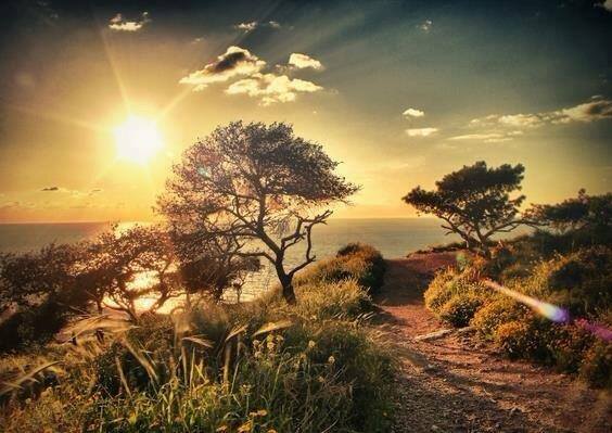 32692546_10214026386468381_6096243860881539072_n