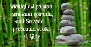 32743371_10214040005328844_3614995315012141056_n