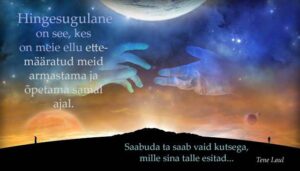 32821403_10214045913436543_3393819149401587712_n