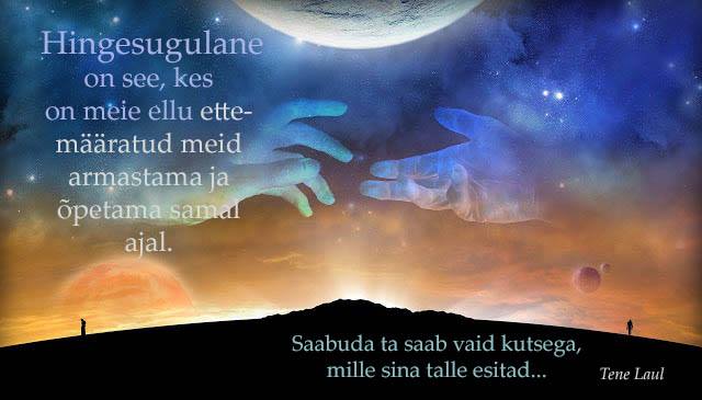 32821403_10214045913436543_3393819149401587712_n