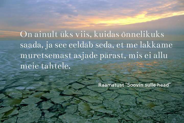 32939039_10214048816309113_8010312013622280192_n