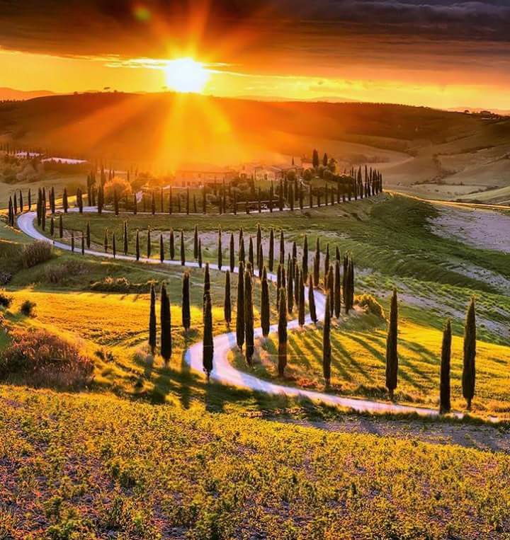 32962646_10214046887300889_3339931496113766400_n