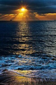 34021504_10214121085195790_917520076599459840_n