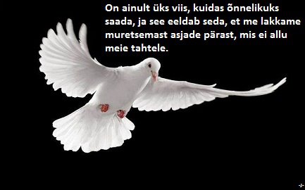 3409_428005703901213_1779198781_n