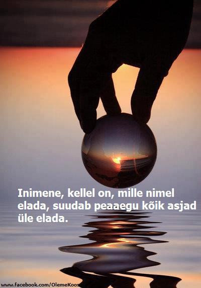 420404_441680702533713_72997518_n