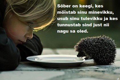 482067_420797274622056_1226130289_n