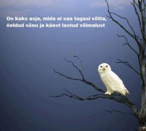 484545_420828521285598_1578535571_n