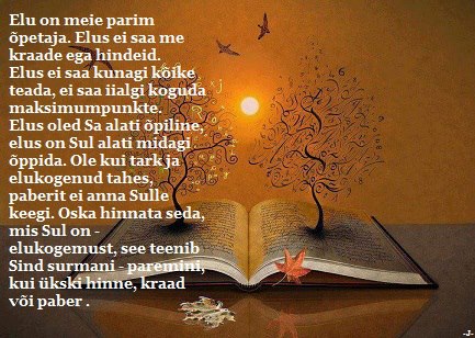 538943_432224080146042_935077354_n