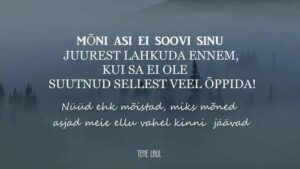 60339595_10220581923352706_7996251562005495808_n