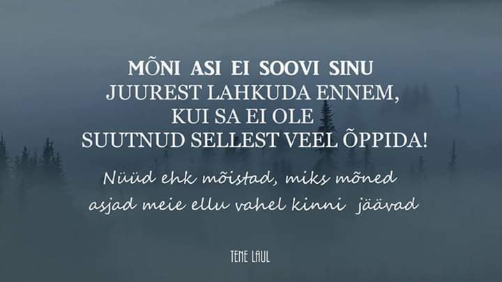 60339595_10220581923352706_7996251562005495808_n