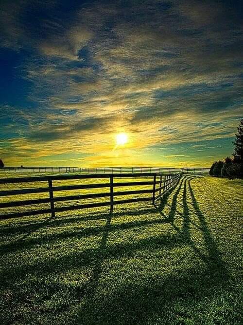 75233421_2390348964407278_7701531443024887808_n