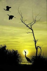 81151293_2494715163970657_962473403342651392_n