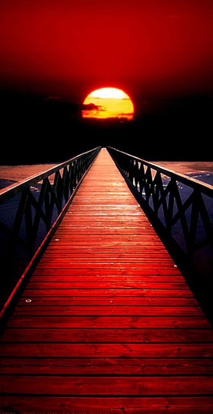 90157694_2663646500410855_5329302344087633920_o