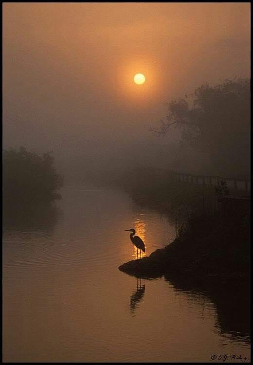 90335613_2661019804006858_540645479583580160_n