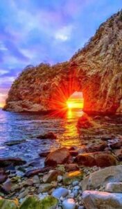 91490661_2686461711462667_4720651125433303040_n