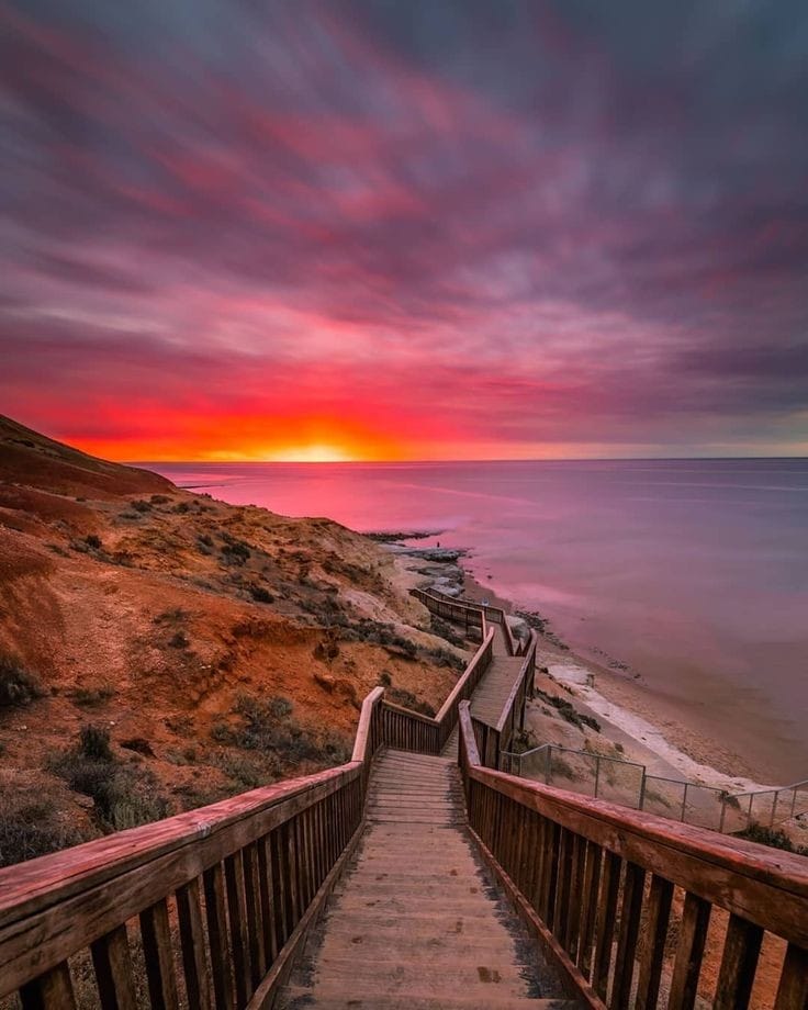 92953457_2708211162621055_4538828903342407680_n