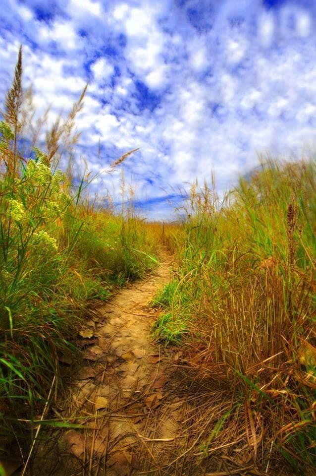 93886917_2726099214165583_9096896395427708928_n