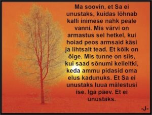 95079530_108645490832464_7965943734439247872_n