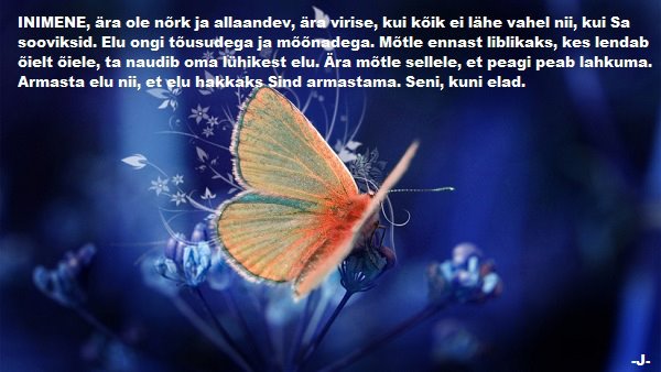 95108464_111667397196940_1891632970163290112_n