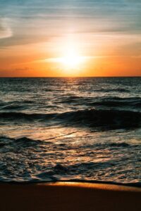 95122204_110407090656304_4819076575968362496_n