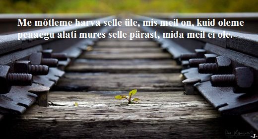 95454647_116260996737580_3337812694257369088_n