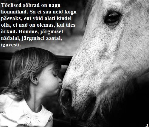 95511373_115900966773583_7488973026214543360_n