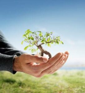 95643248_113555860341427_4743236344103305216_n