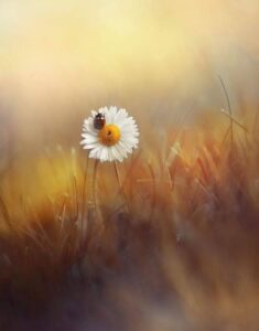 95821041_115659220131091_5685659560207974400_n