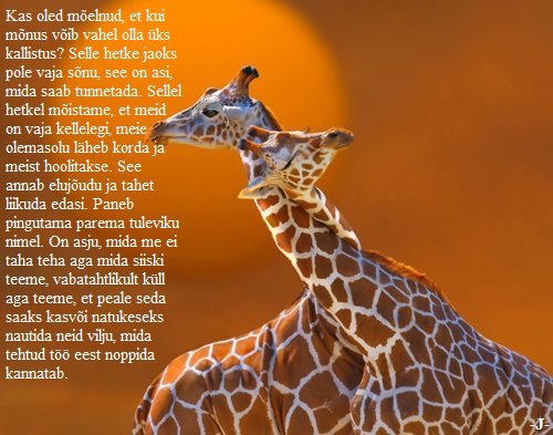 95998390_115900133440333_6412159080827191296_n