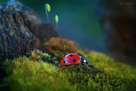 96079599_116295493400797_8805787583733825536_n