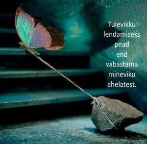 96104526_115658906797789_6954212854417326080_n