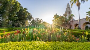 96139762_115931570103856_8211053034076110848_n