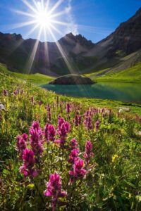 96514860_121011672929179_1819968000560726016_n