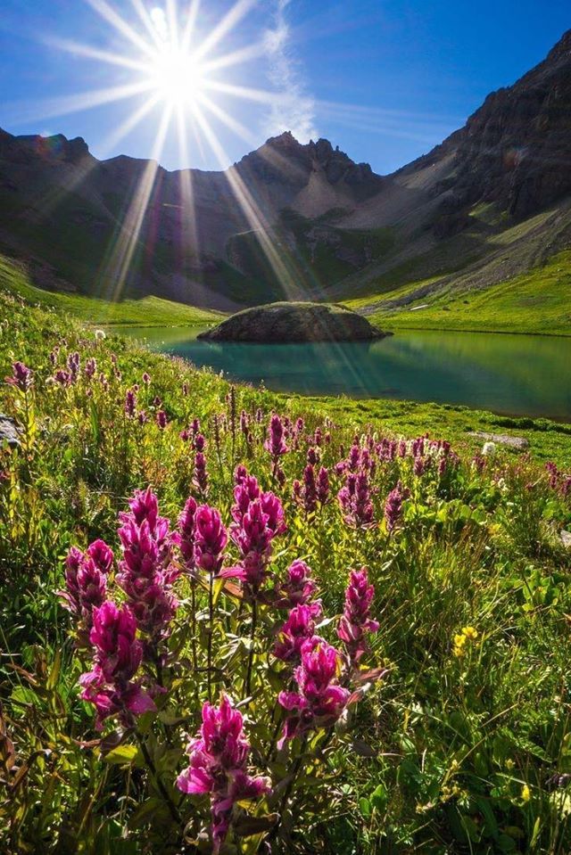 96514860_121011672929179_1819968000560726016_n