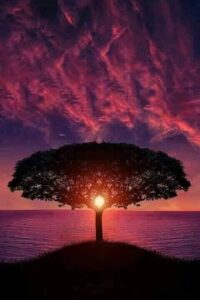 96596477_121191019577911_899233119465373696_n