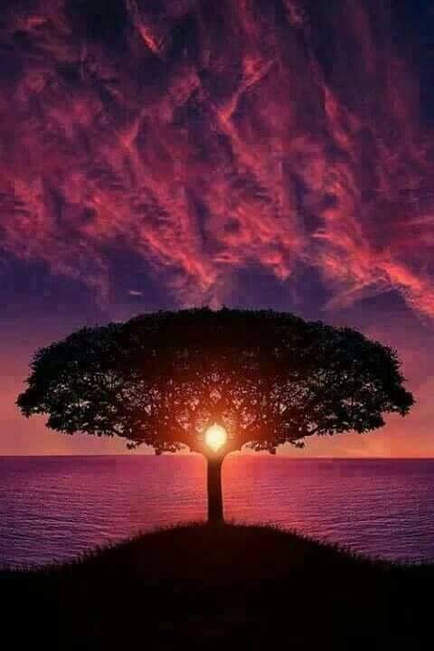 96596477_121191019577911_899233119465373696_n