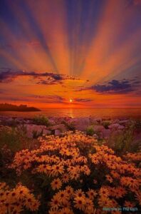 96792491_121666962863650_2036919473130176512_n