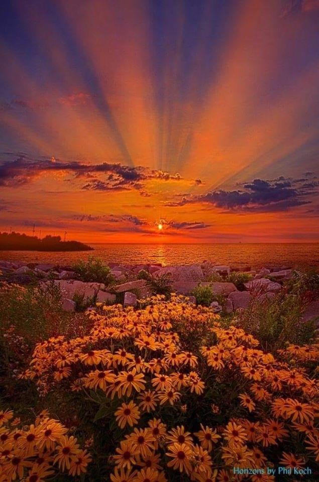 96792491_121666962863650_2036919473130176512_n