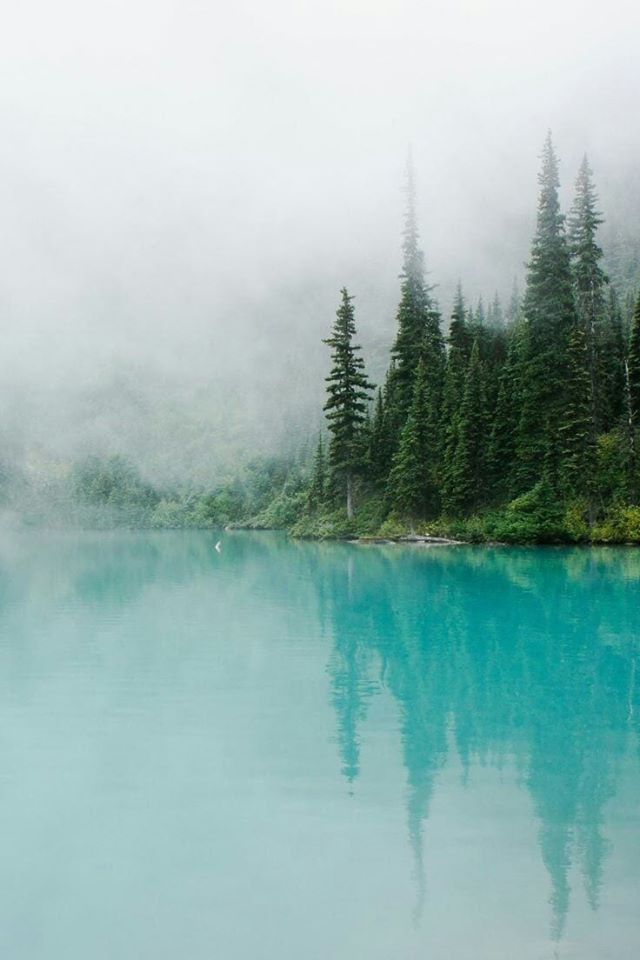 97072267_120872336276446_3910015437458374656_o