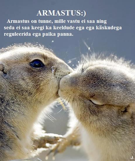 97154973_121667069530306_2830289521424203776_n