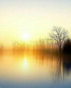 97431642_2789865177788986_2336193412790747136_n