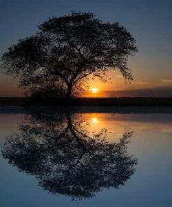 97780824_2777969288978575_1572852126562910208_n