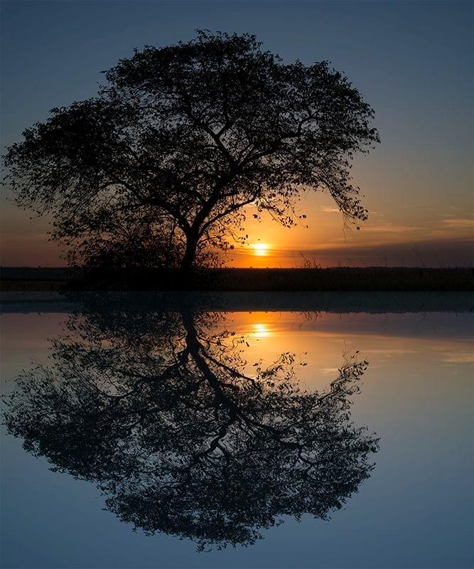 97780824_2777969288978575_1572852126562910208_n