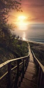 97796969_121993766164303_7499659484667576320_n