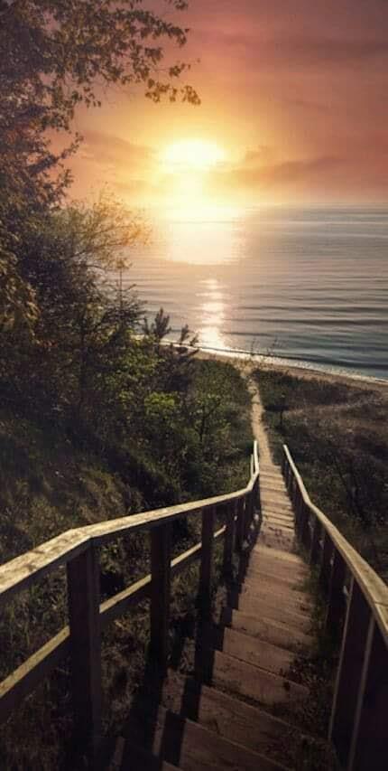 97796969_121993766164303_7499659484667576320_n