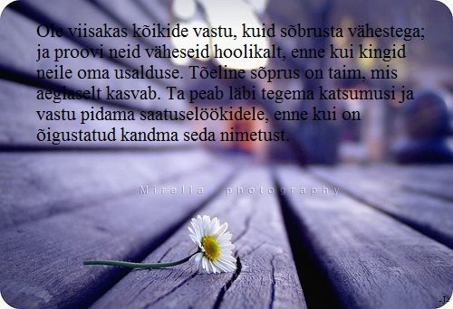 97809836_121926662837680_5274726976341409792_n