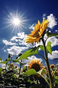 98186438_2793399624102208_4460628681437478912_n